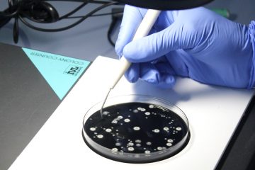 Ensayo laboratorio Inteman