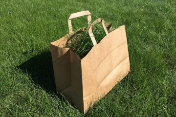 Compra verde - INTEMAN