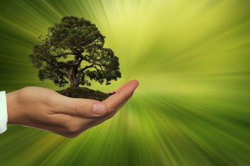 Ecodiseño - INTEMAN